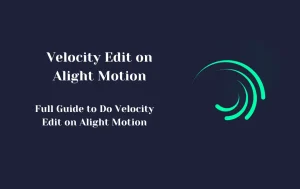 Velocity Edit on Alight Motion